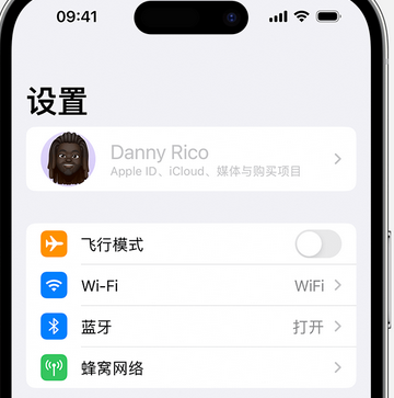 石壁镇appleID维修服务iPhone设置中Apple ID显示为灰色无法使用 