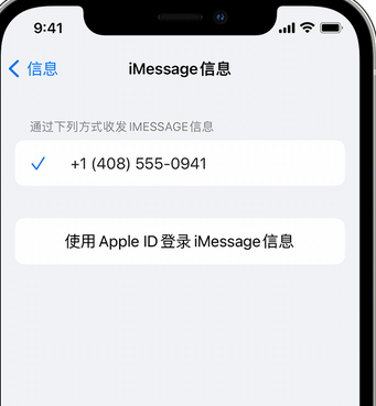 石壁镇apple维修iPhone上无法正常发送iMessage信息 