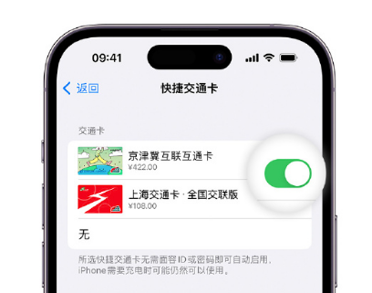 石壁镇apple维修点分享iPhone上更换Apple Pay快捷交通卡手绘卡面 