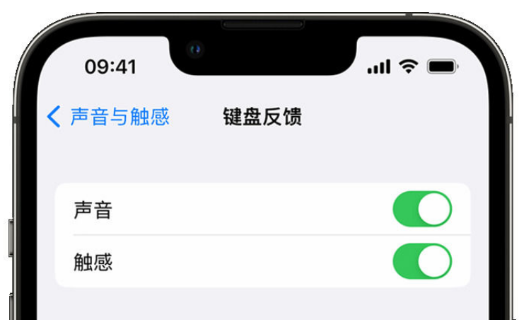 石壁镇苹果手机维修分享iPhone 14触感键盘使用方法 