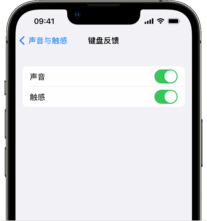 石壁镇苹果14维修店分享如何在 iPhone 14 机型中使用触感键盘 