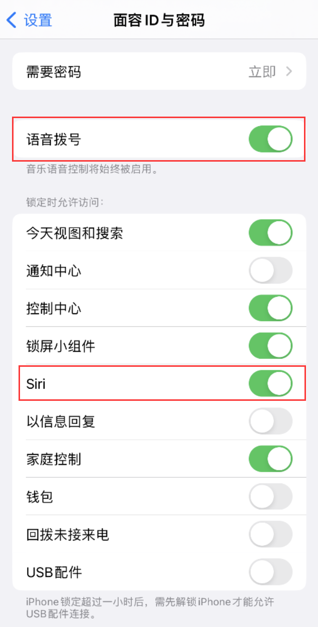 石壁镇苹果维修网点分享不解锁 iPhone 的情况下通过 Siri 拨打电话的方法 