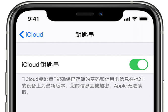 石壁镇苹果手机维修分享在 iPhone 上开启 iCloud 钥匙串之后会储存哪些信息 