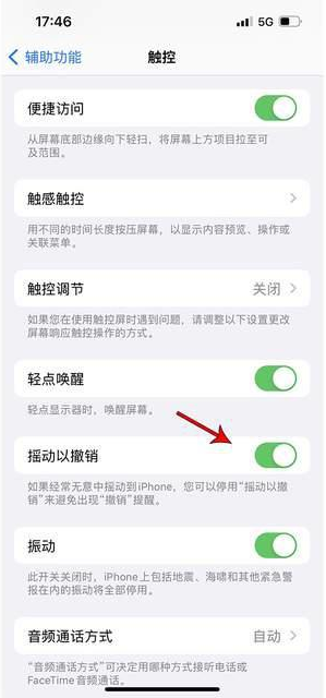 石壁镇苹果手机维修分享iPhone手机如何设置摇一摇删除文字 